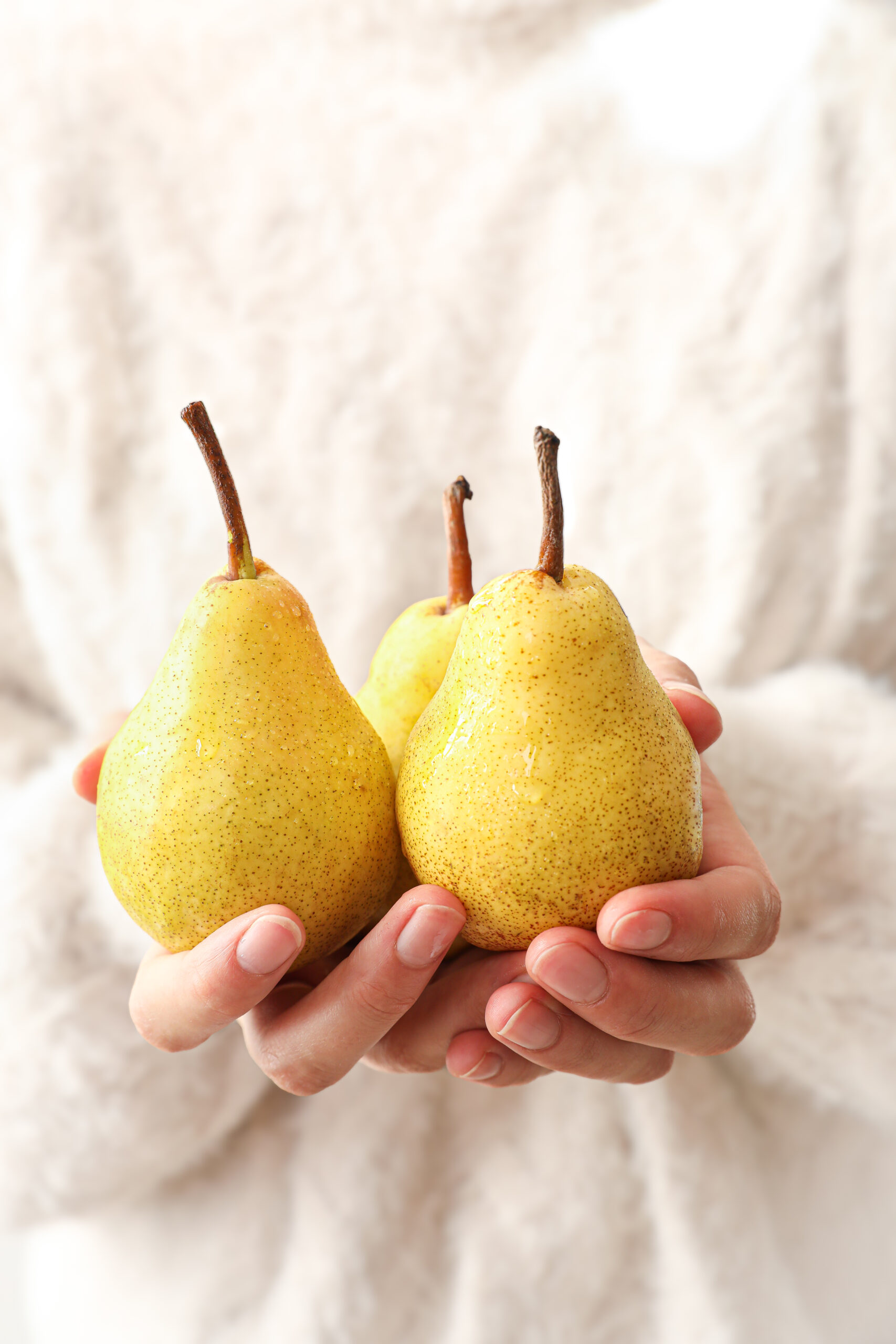 Alice Bertho photographe et styliste culinaire à Toulouse