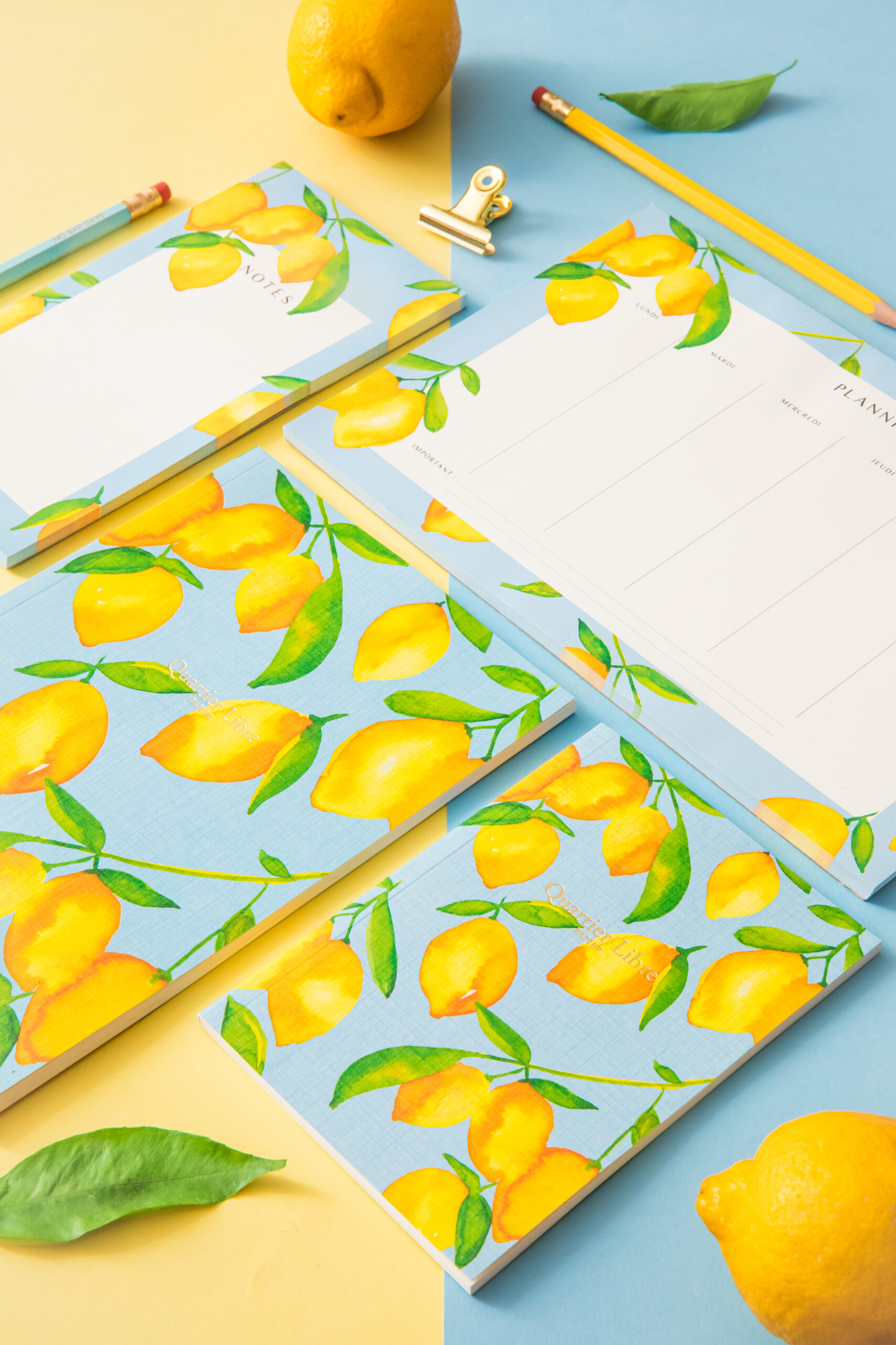 Alice Bertho photographe et styliste culinaire à Toulouse