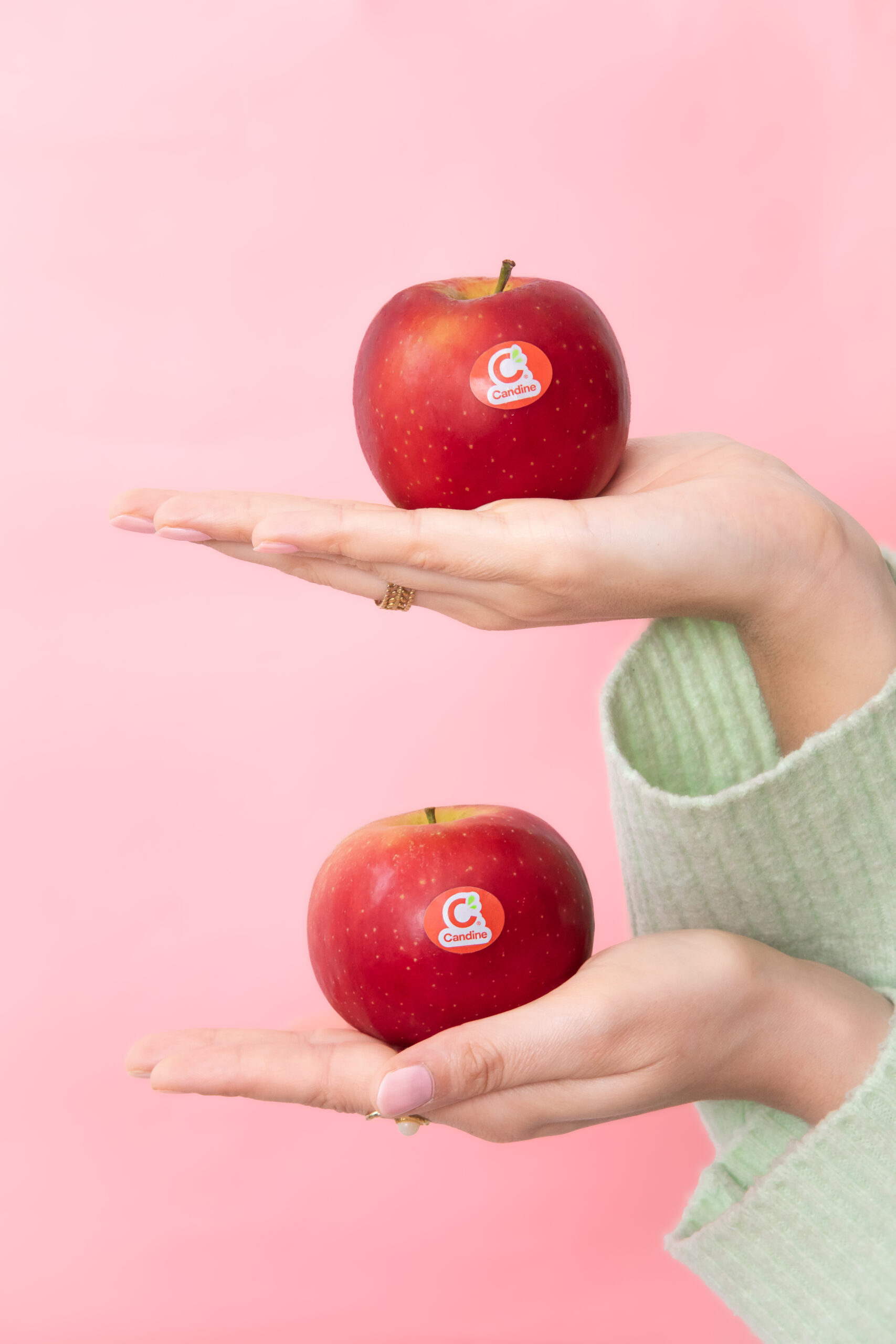 Alice Bertho photographe et styliste culinaire à Toulouse