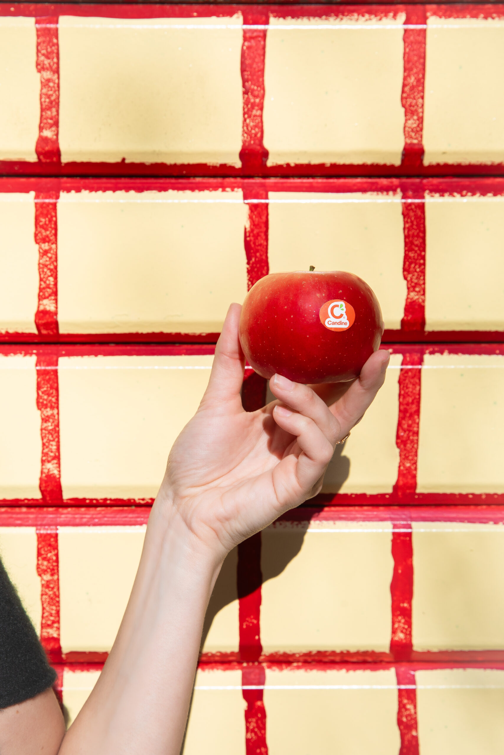 Alice Bertho photographe et styliste culinaire à Toulouse